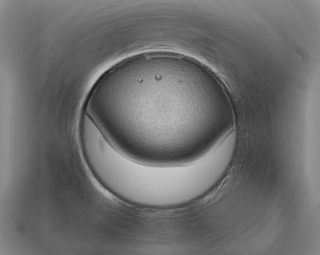 X0000115281519200911131818