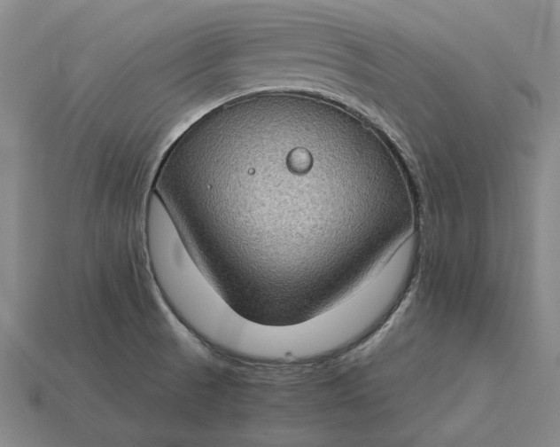 X0000115281521200911131818