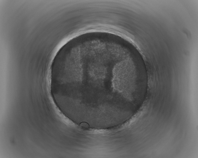 X0000115281522200911131818