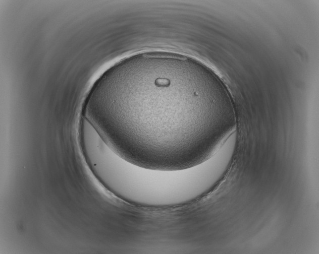 X0000115281523200911131818