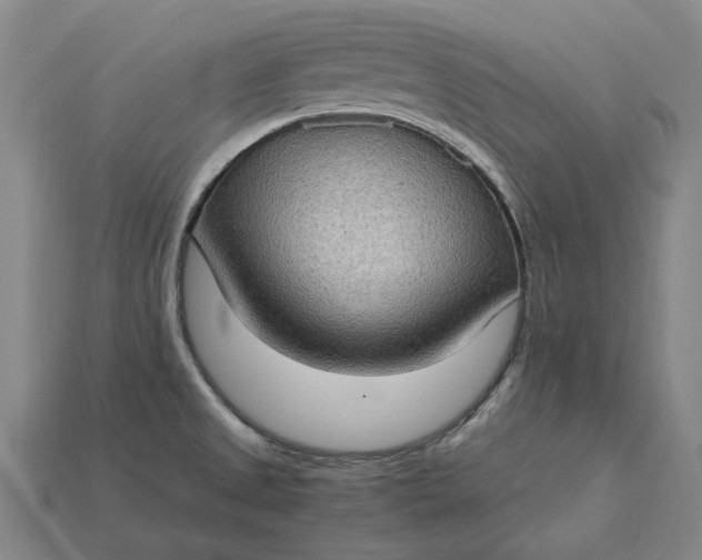 X0000115281525200911131818