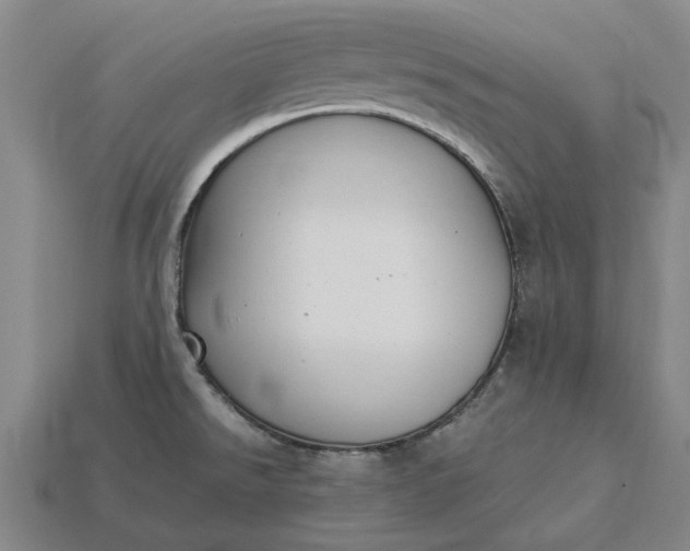 X0000115281526200911131818