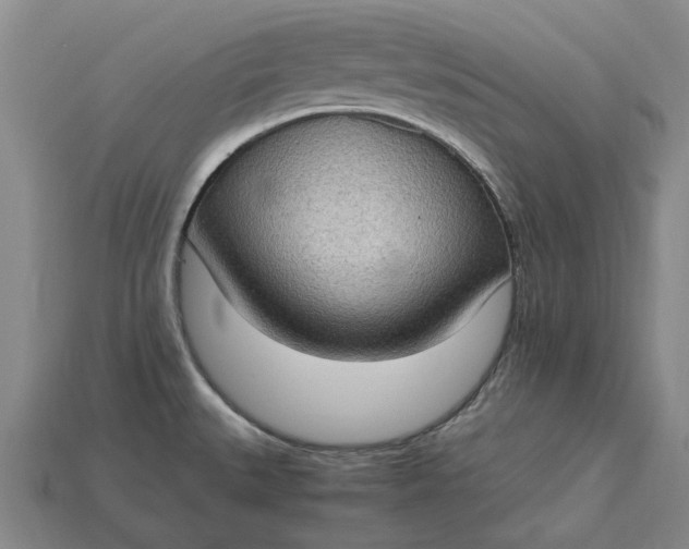 X0000115281527200911131818