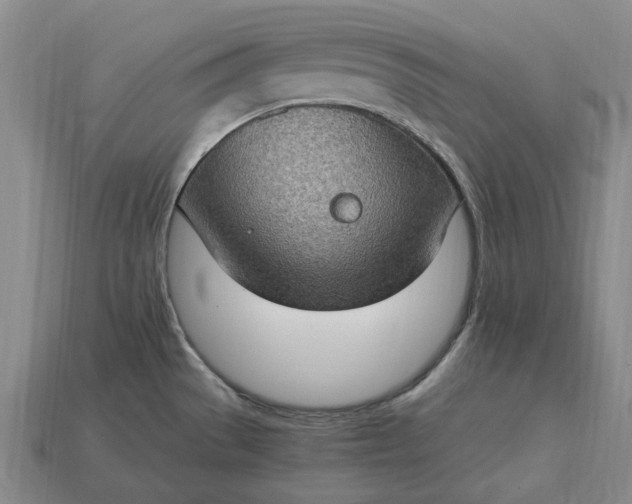 X0000115281529200911131818