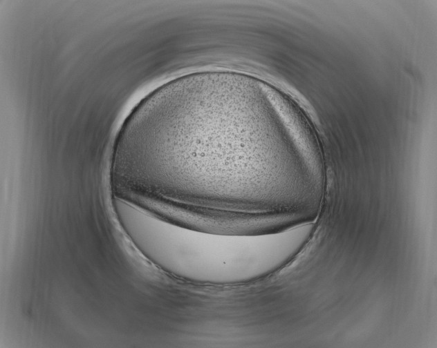 X0000115281530200911131818