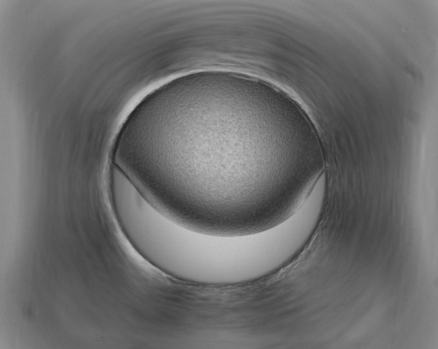 X0000115281531200911131818