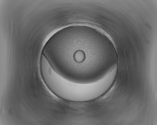 X0000115281533200911131818