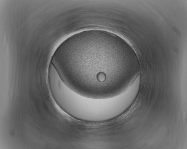 X0000115281535200911131818