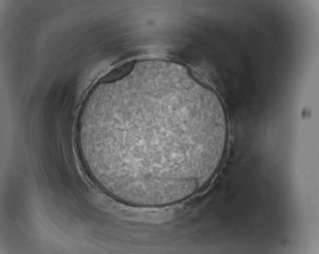 X0000115280001200911201803