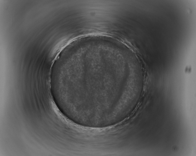 X0000115280002200911201803