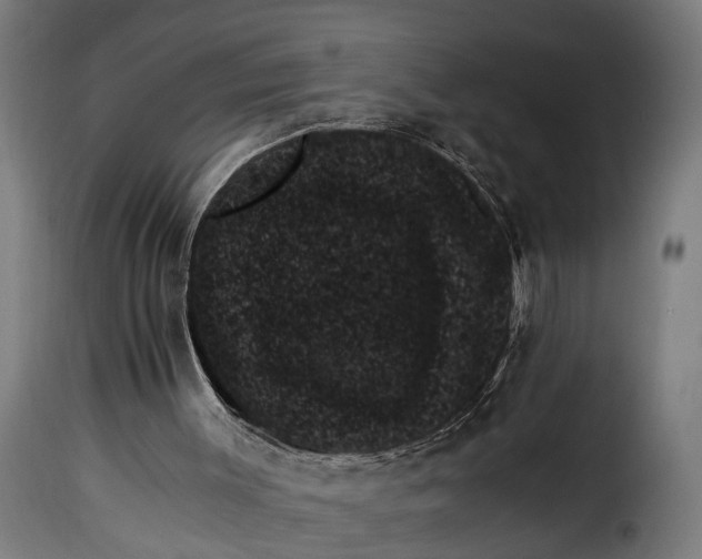 X0000115280003200911201803