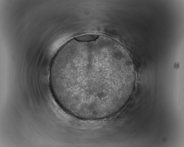 X0000115280005200911201803