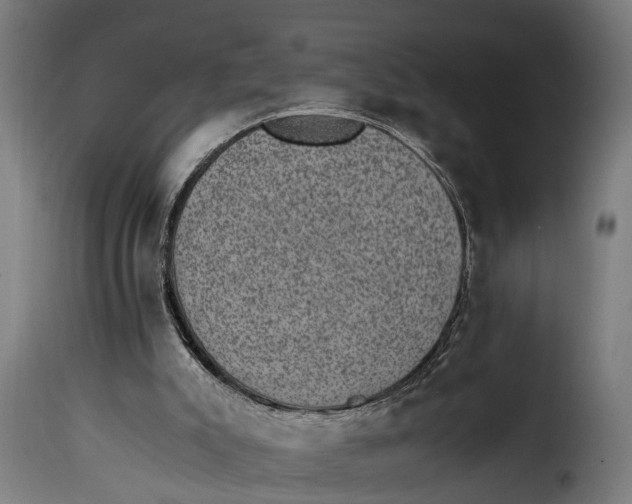 X0000115280007200911201803