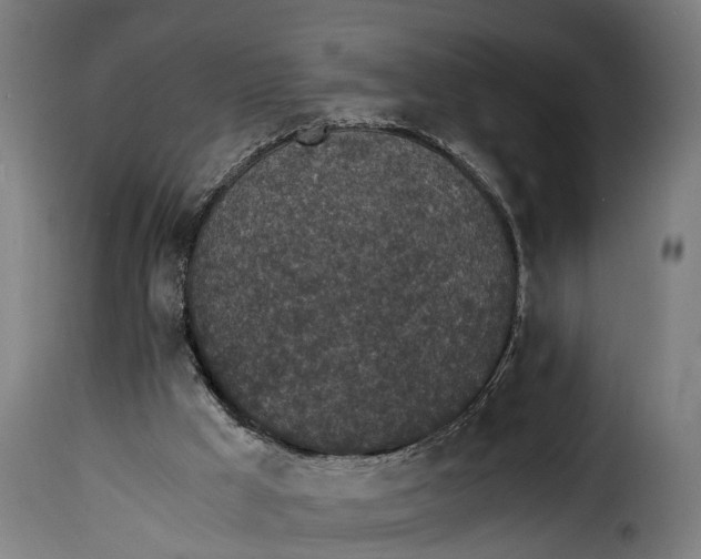 X0000115280009200911201803