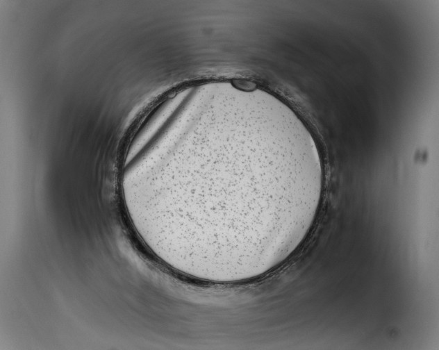 X0000115280012200911201803