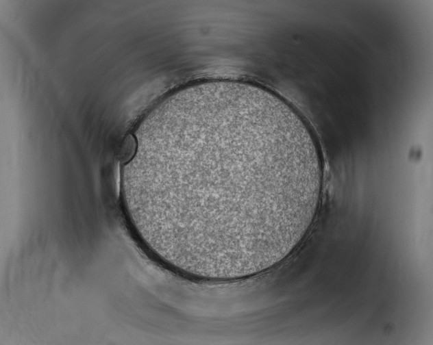 X0000115280013200911201803