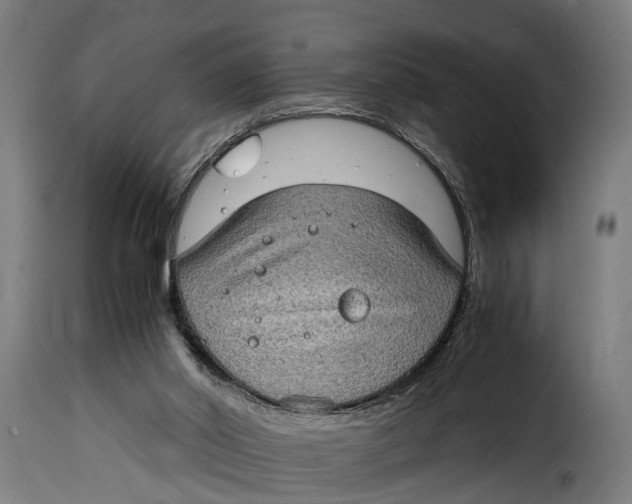 X0000115280014200911201803