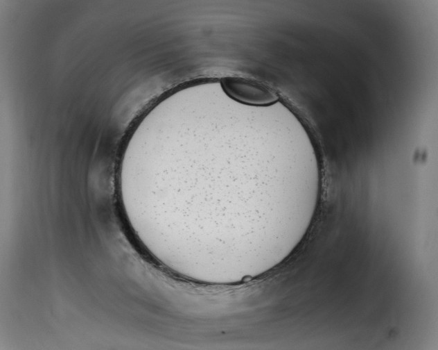 X0000115280015200911201803