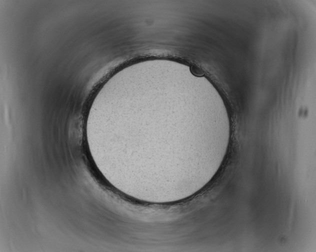 X0000115280016200911201803