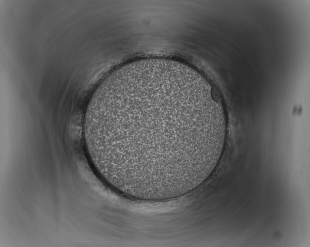 X0000115280017200911201803