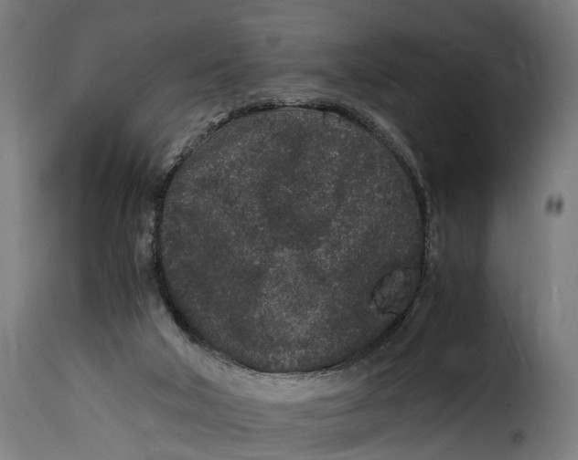 X0000115280018200911201803