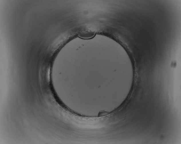 X0000115280019200911201803