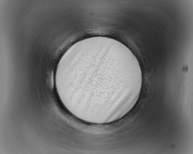 X0000115280020200911201803