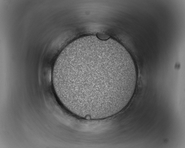 X0000115280021200911201803