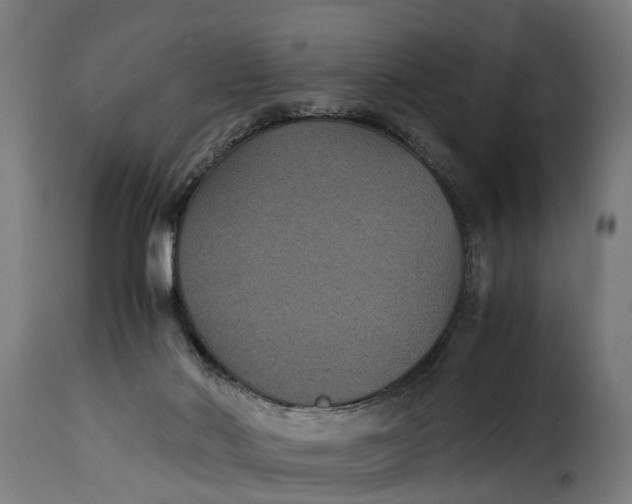 X0000115280022200911201803