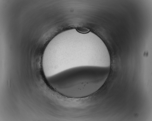 X0000115280023200911201803