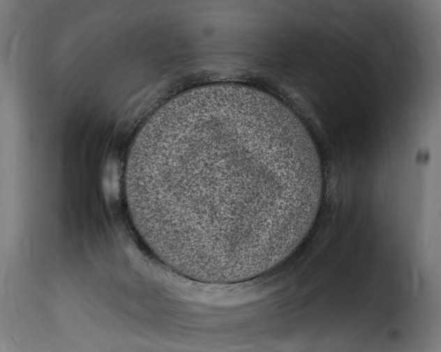 X0000115280026200911201803