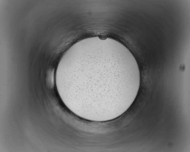 X0000115280028200911201803