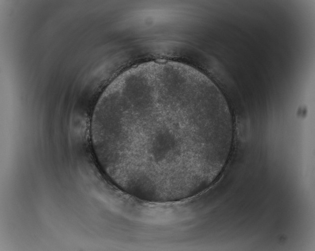 X0000115280029200911201803