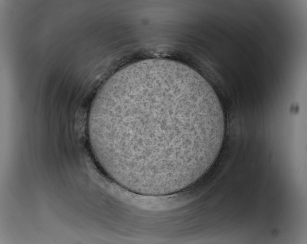 X0000115280030200911201803