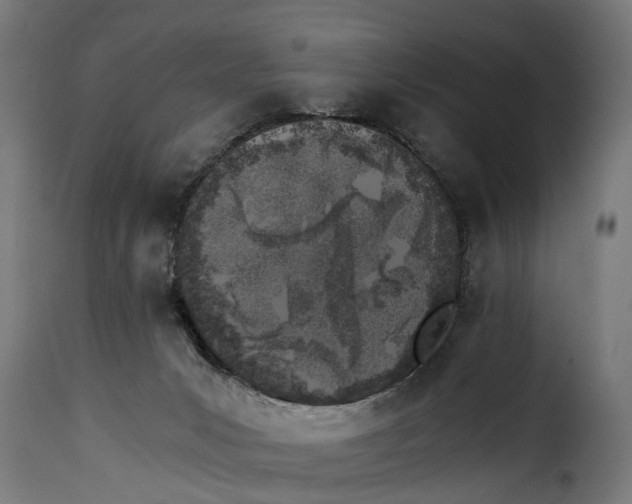 X0000115280031200911201803