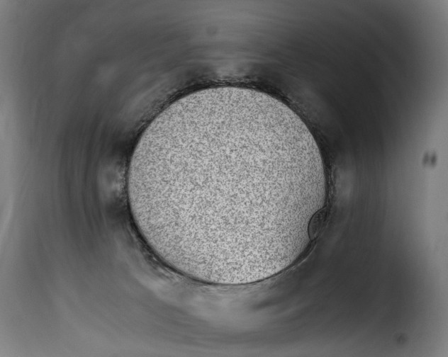 X0000115280033200911201803