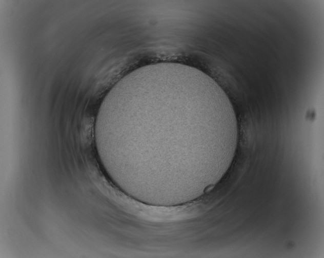 X0000115280034200911201803