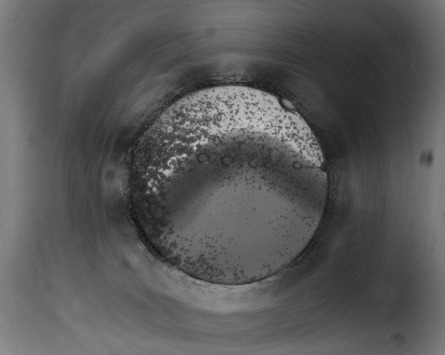 X0000115280035200911201803