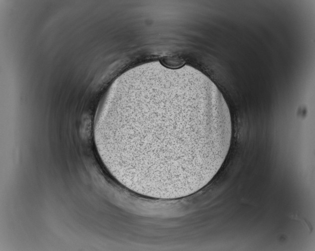 X0000115280036200911201803