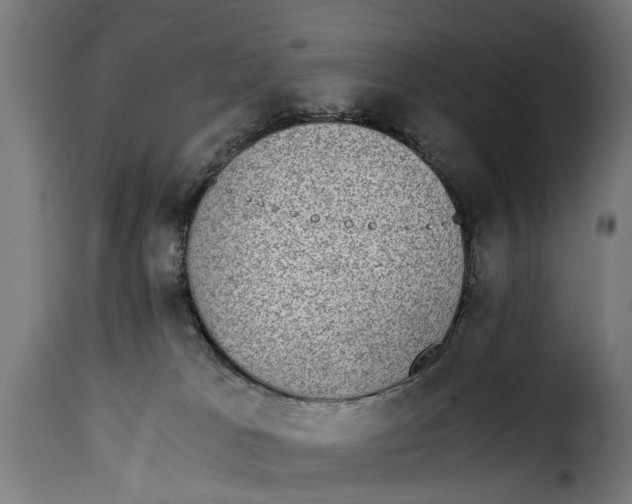 X0000115280037200911201803