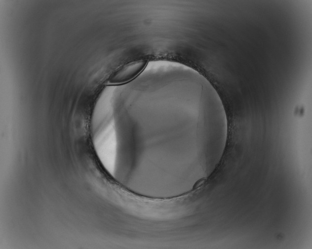 X0000115280039200911201802