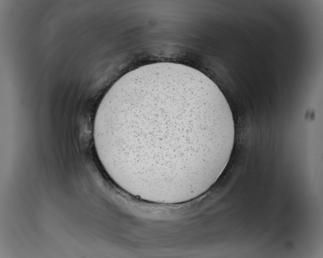 X0000115280040200911201802