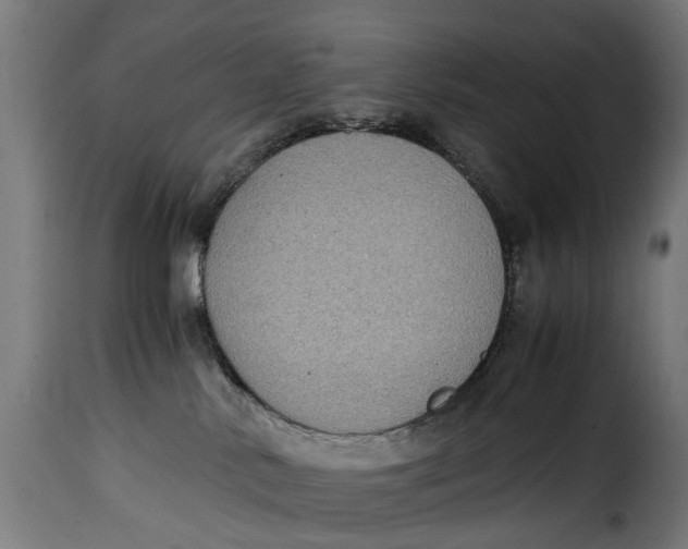 X0000115280042200911201802