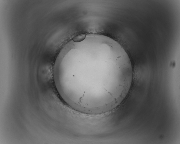 X0000115280043200911201802