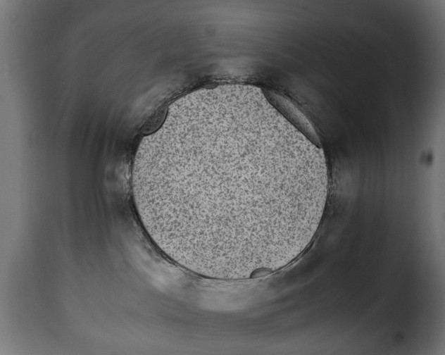 X0000115280045200911201802