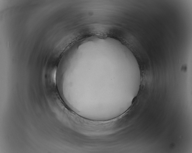 X0000115280047200911201802