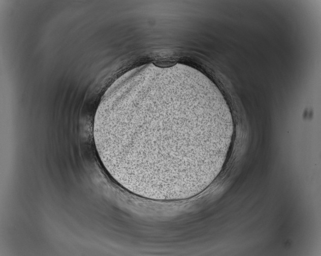 X0000115280048200911201802