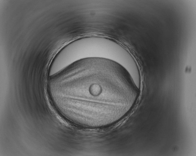 X0000115280049200911201802