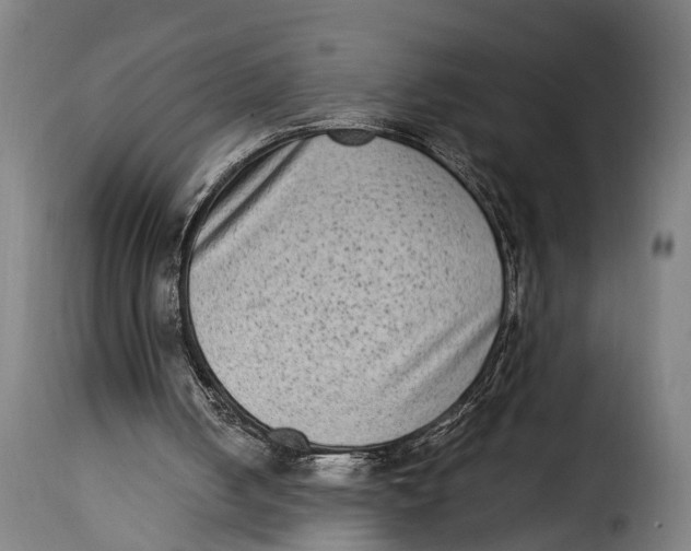 X0000115280050200911201802