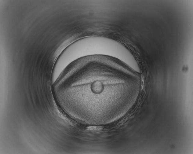 X0000115280051200911201802